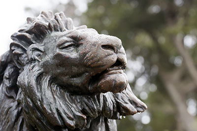 Bronze Lion in Golden Gate Park