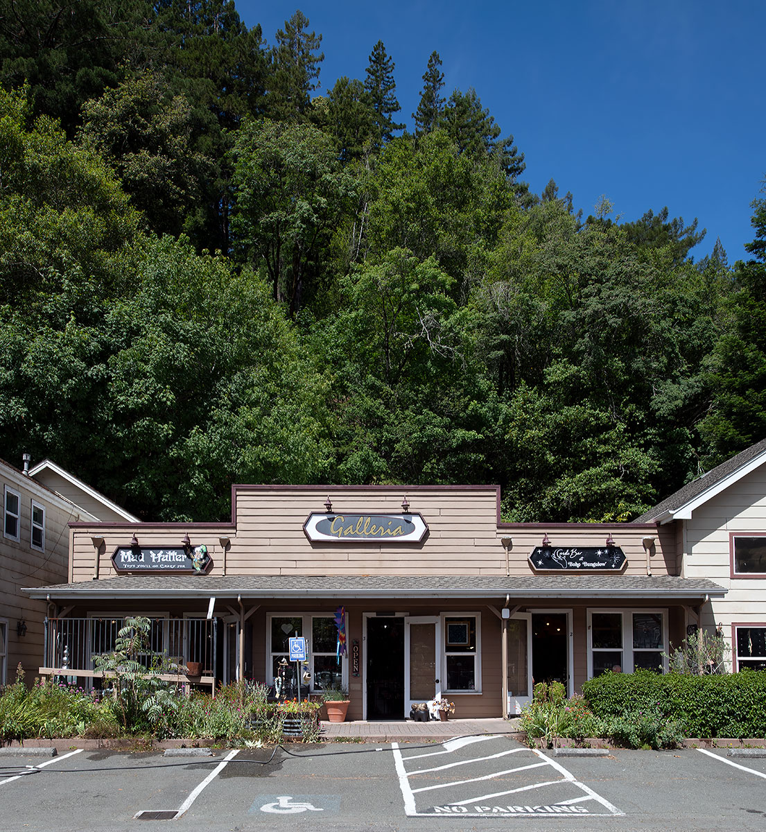 3692 Bohemian Highway in Occidental Historic District