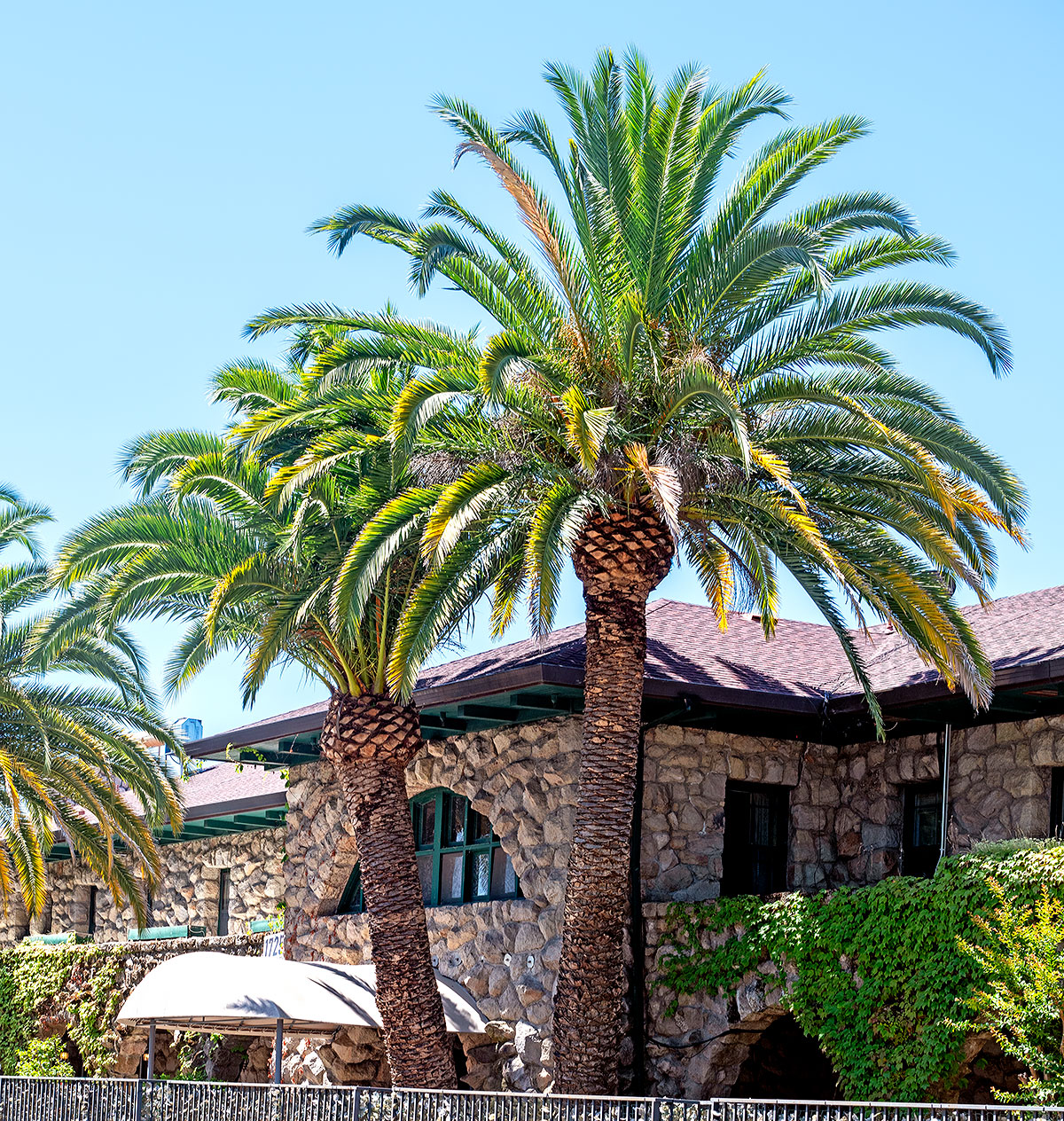 Sonoma County Landmark 21: Agua Caliente Springs Hotel