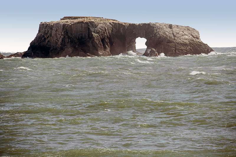 Goat Rock Beach | atelier-yuwa.ciao.jp