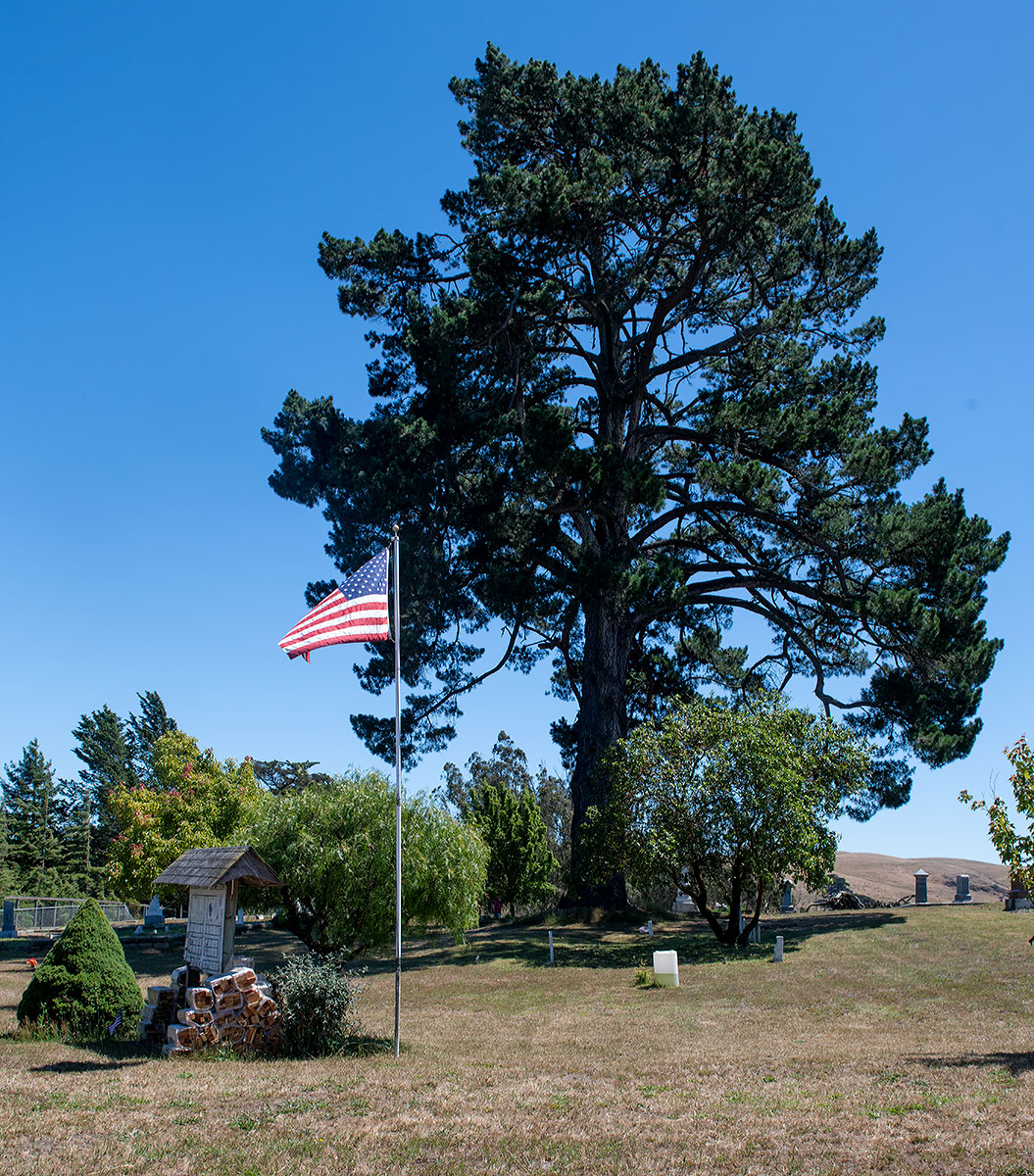 Sonoma County Landmark 151: Bloomfield Cemetery
