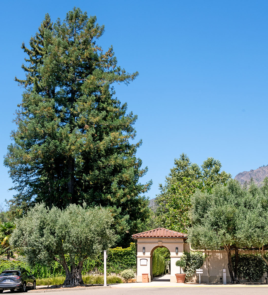 Sonoma County Landmark 76: Chateau St. Jean