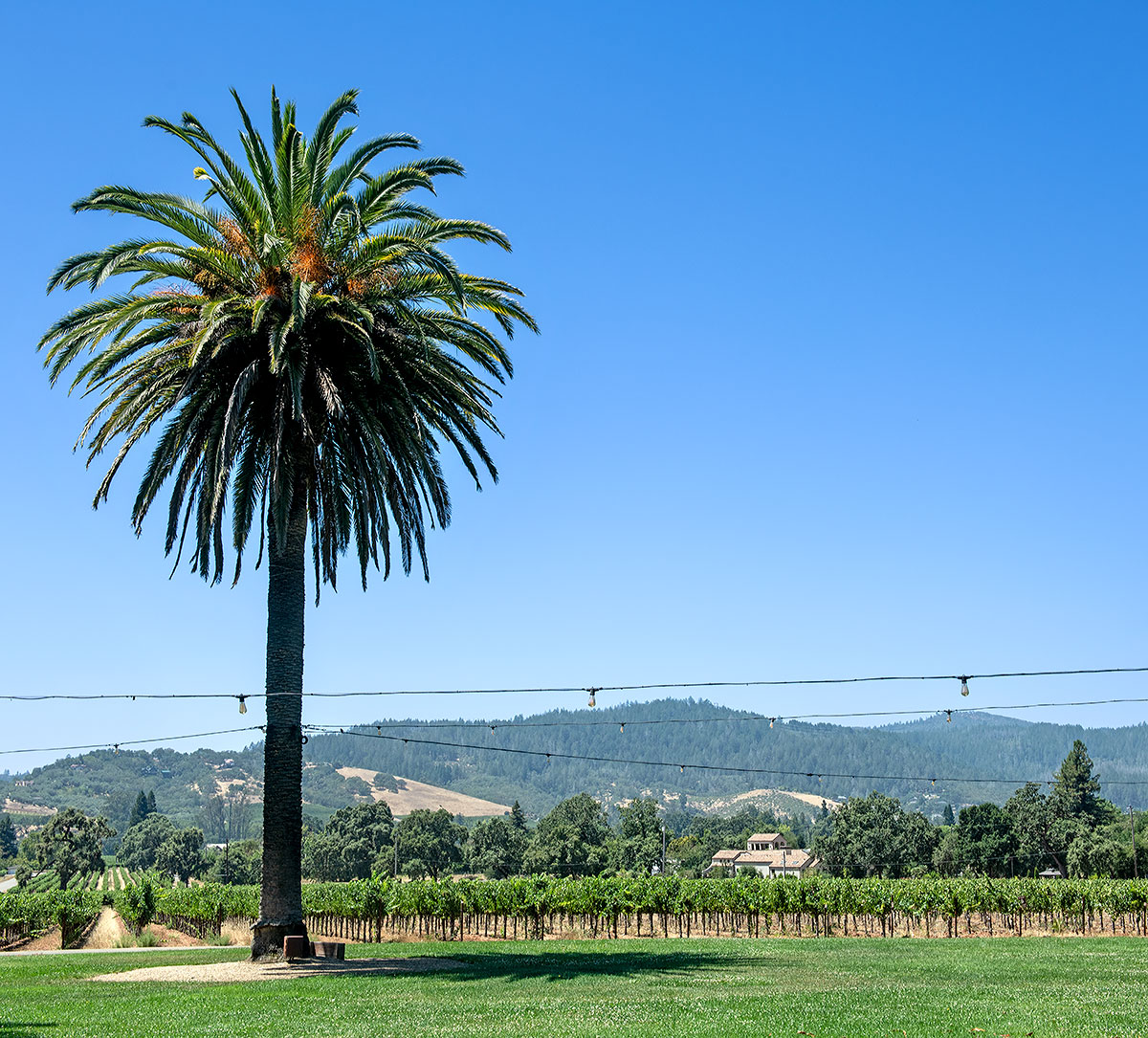 Sonoma County Landmark 76: Chateau St. Jean