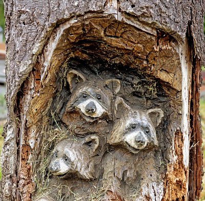 Bear Cubs Carved in a Tree Stump in Duncans Mills