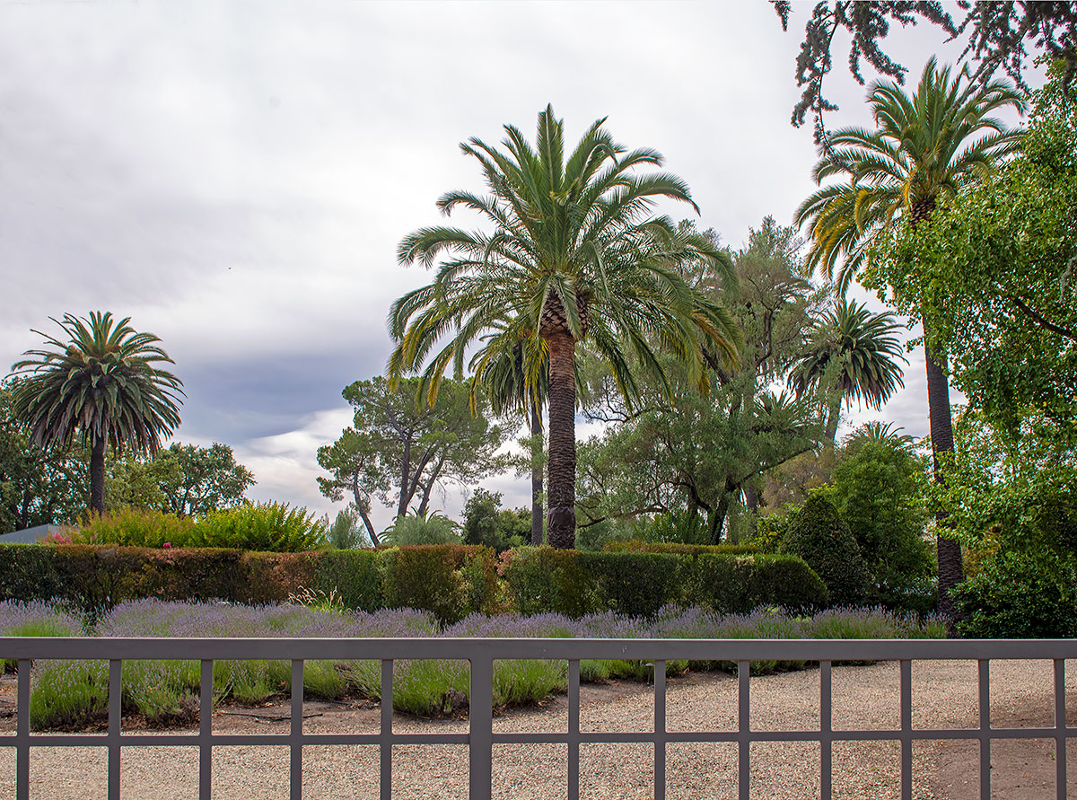 Sonoma County Landmark 15: C.F. Leiding House