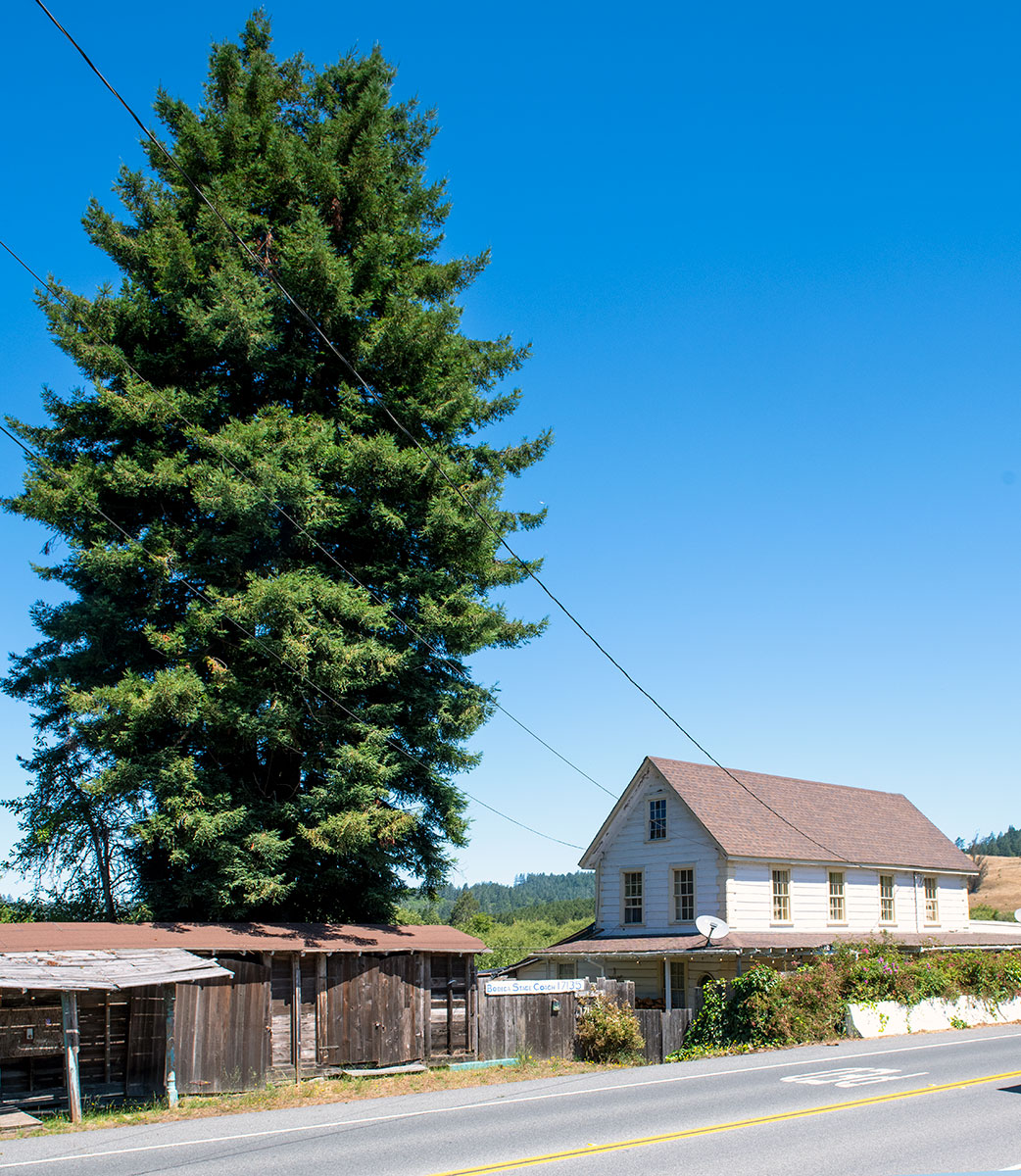Murray House at 17135 Bodega Highway