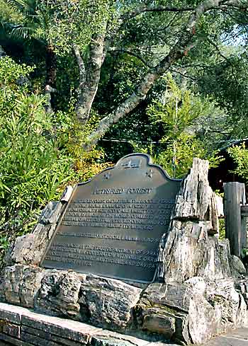 California Historical Landmark #915: Petrified Forest