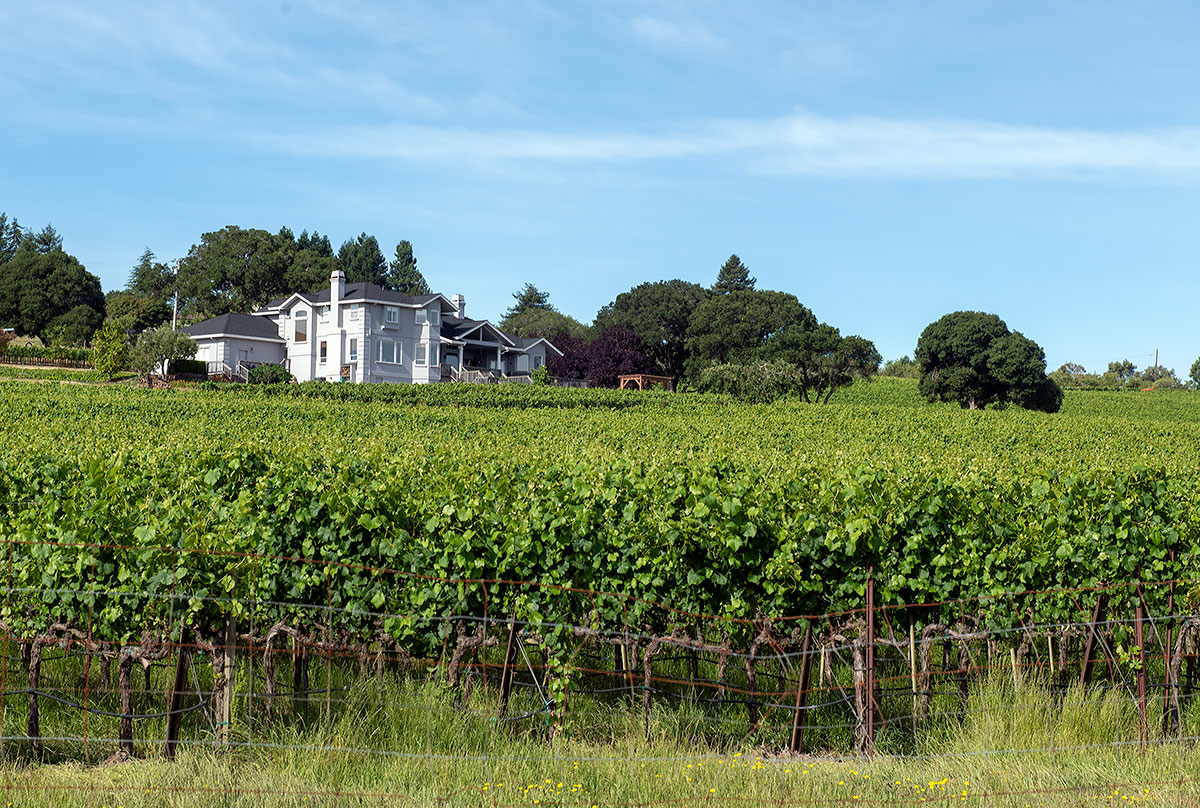 Sonoma County Landmark 168: Sanders House