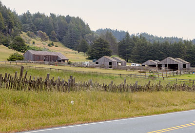 The Sea Ranch Equestrian Center