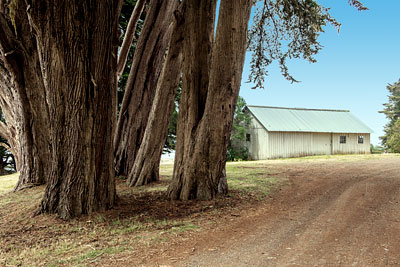 Vintage Shed at The Sea Ranch