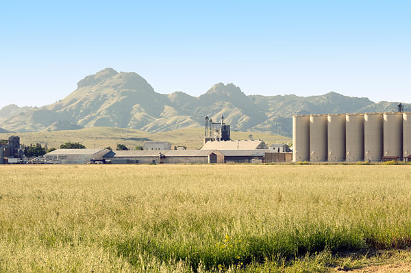 Sutter Rice Company and Sutter Buttes