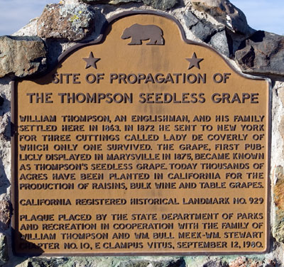 California Historical Landmark 929: Site of Propogation of the Thompson Seedless Grape