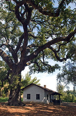 National Register #71001107: William B. Ide Adobe Near Red Bluff, California