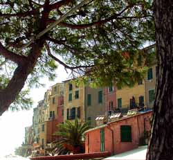 Houses on the Calata Doria