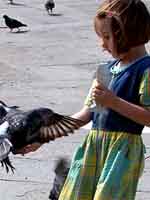 Ragazza and Pigeons, Venice, Italy.